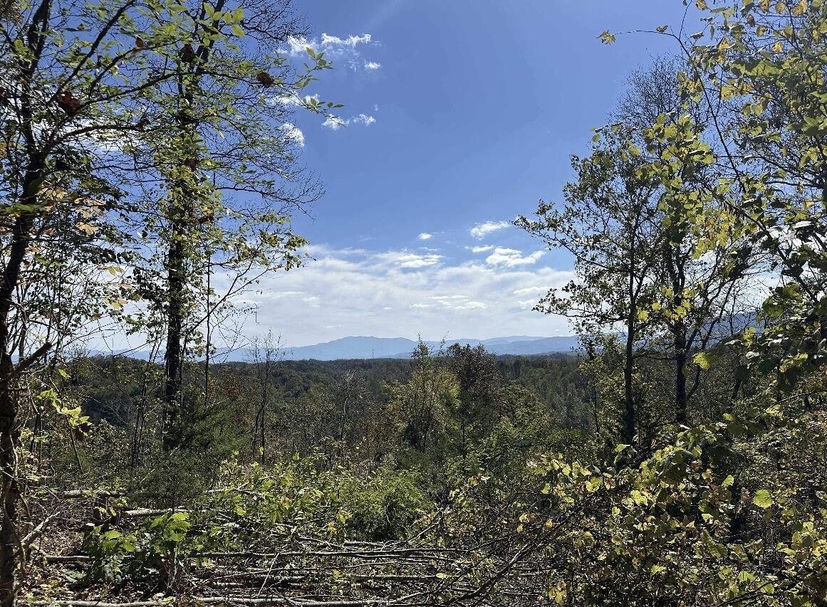 Mountain Top Building Acreage