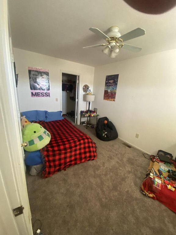 Picture 17