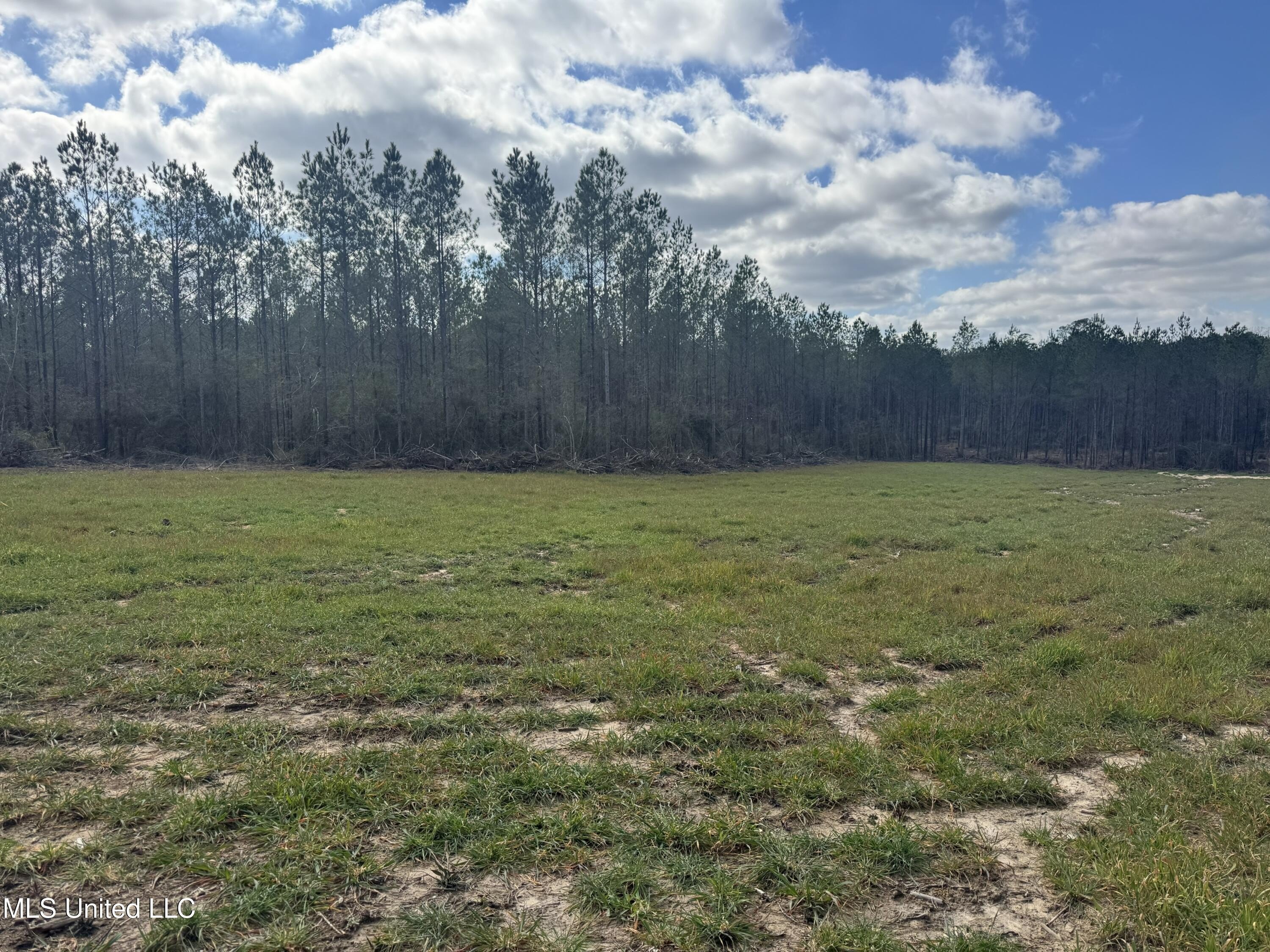220 Acres Timberland Recreation Tract