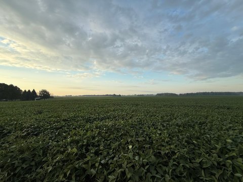 Highly Productive Farmland Tract