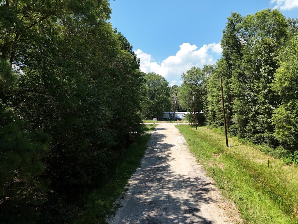 Picture 25