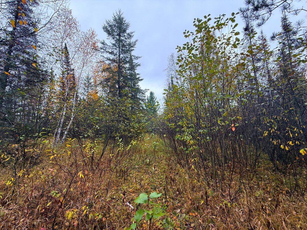 Picture 27