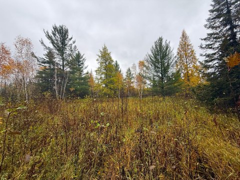Land, Eveleth, MN