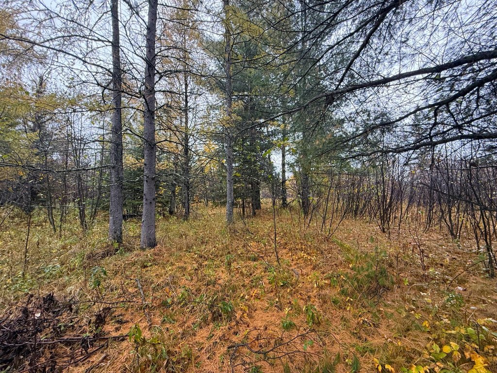 Picture 28