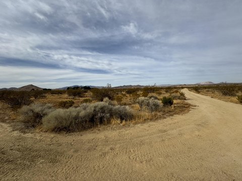 Flat Land with Mountain Views