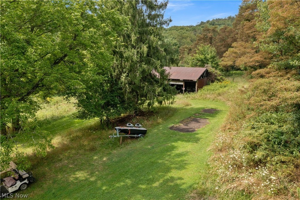Picture 6