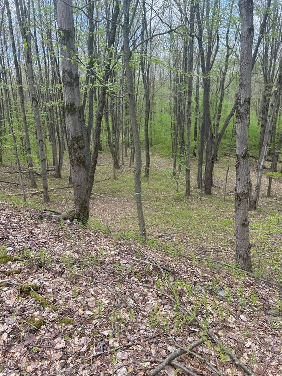 Picture 3