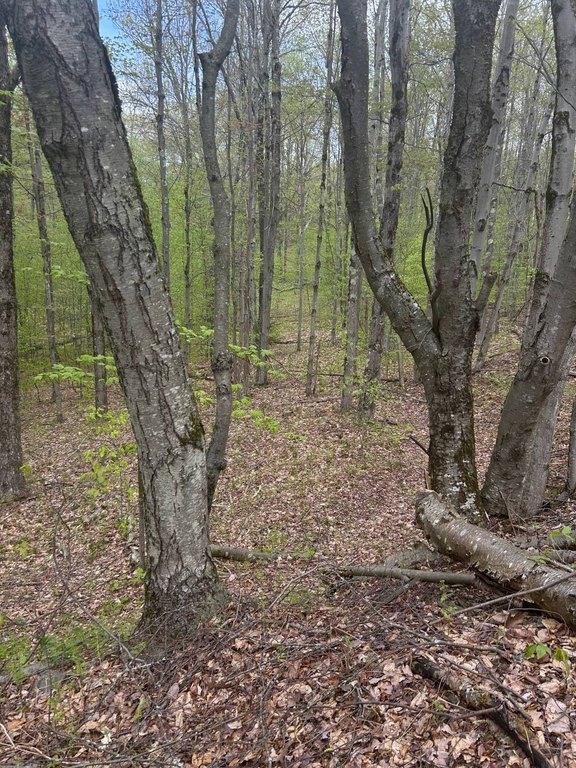 Picture 4