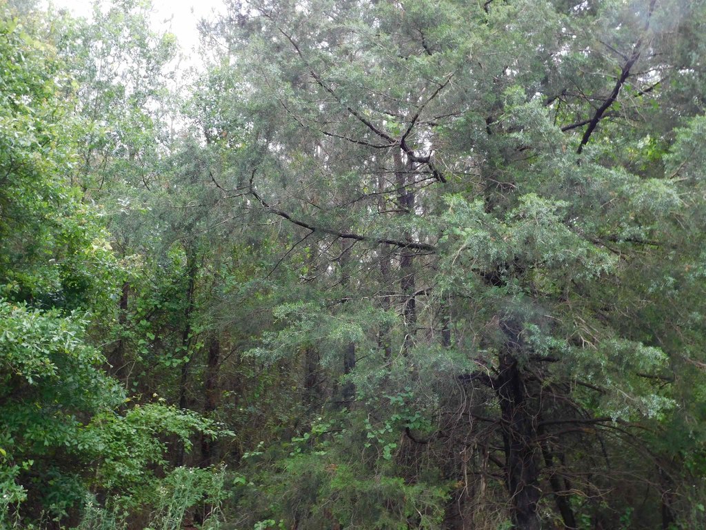 Picture 4