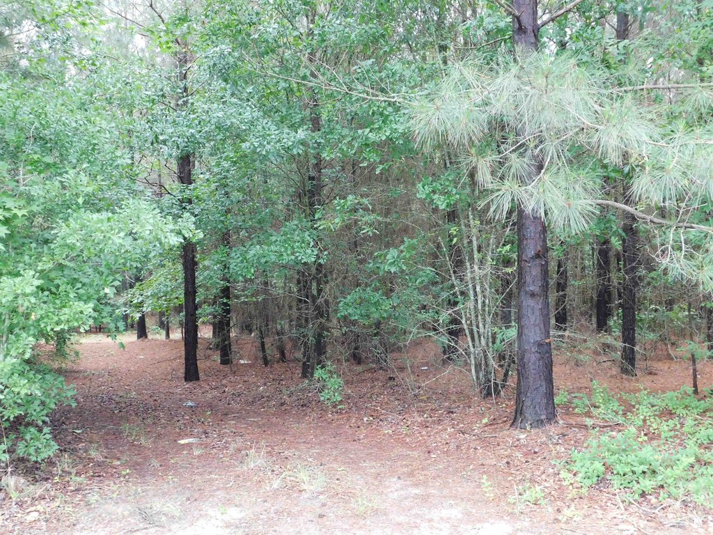 Picture 3