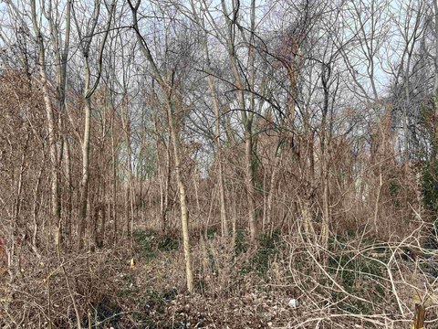 Partially Wooded Residential Land Parcels