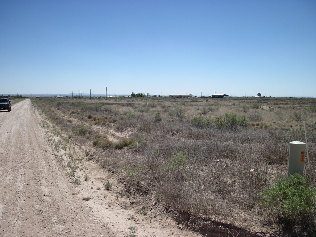 Picture 5