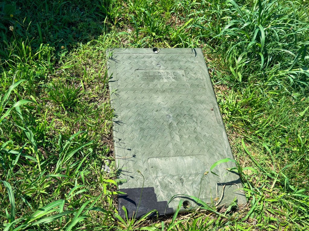 Picture 11
