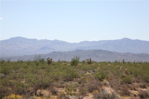 Desert Land with Mountain Views