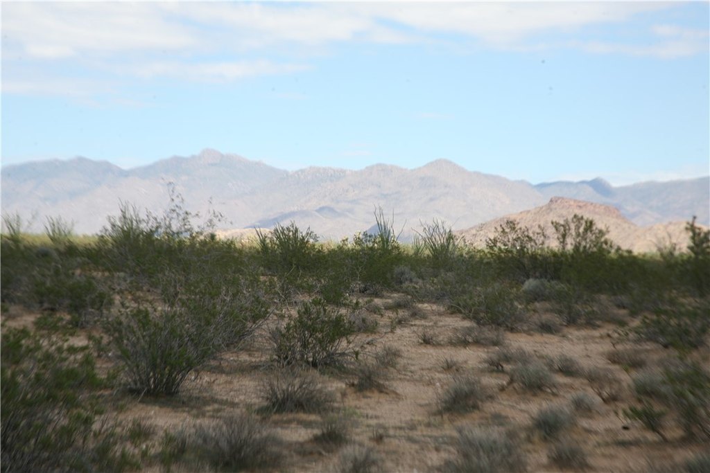 Picture 55