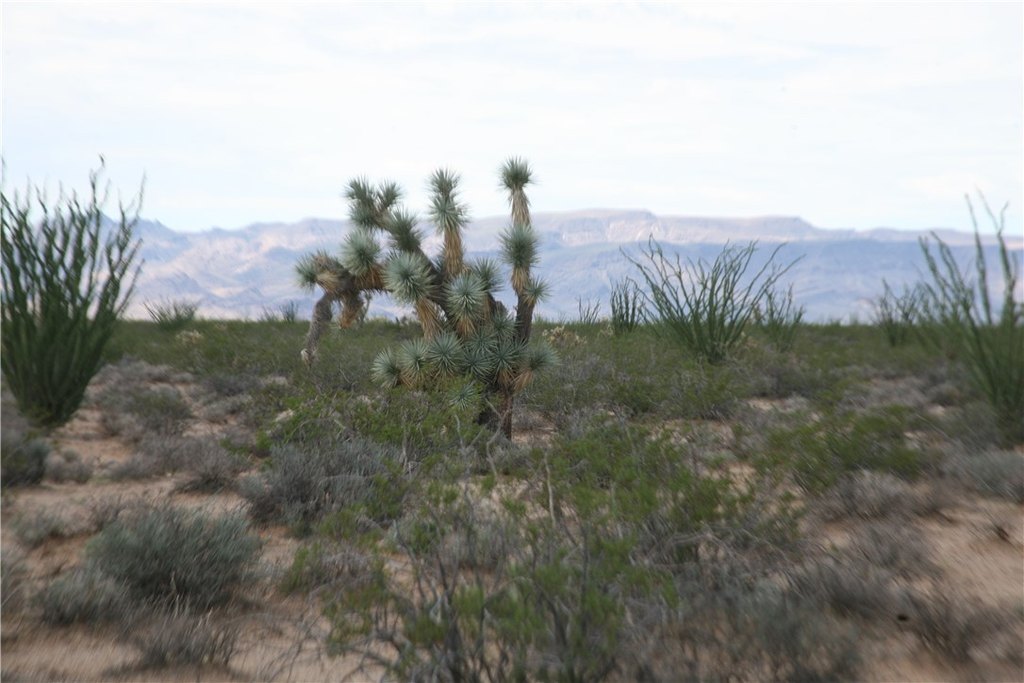 Picture 48