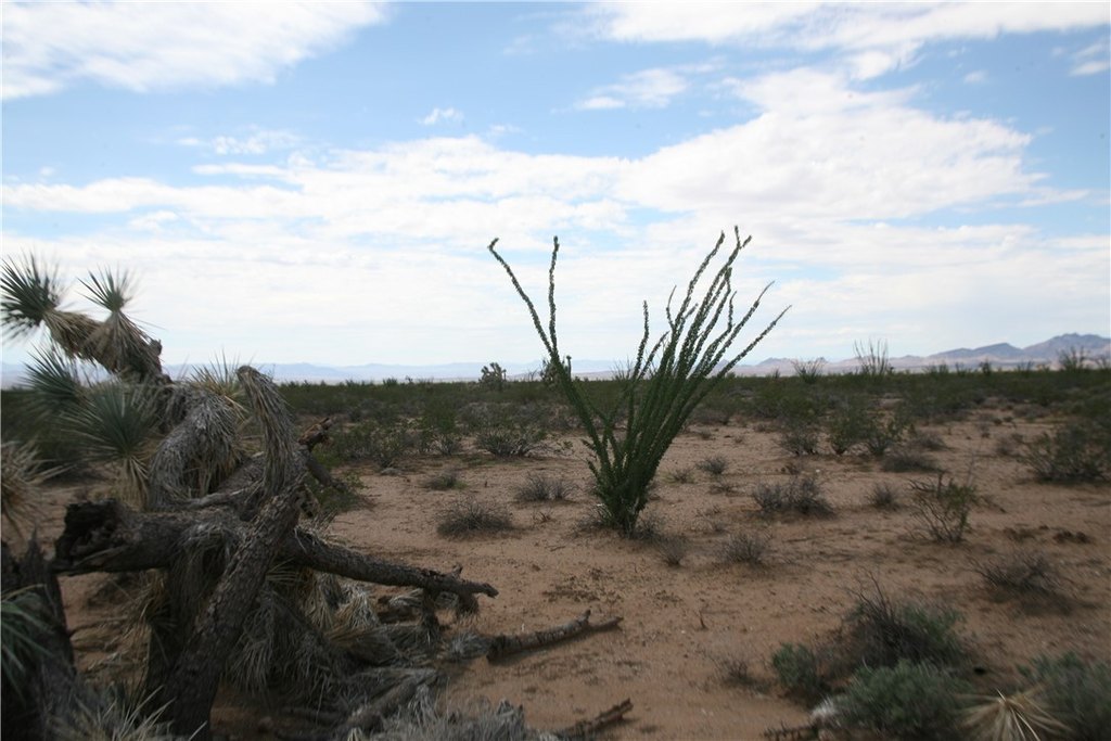 Picture 43