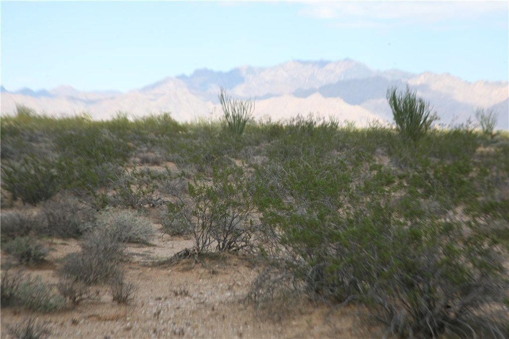 Picture 52