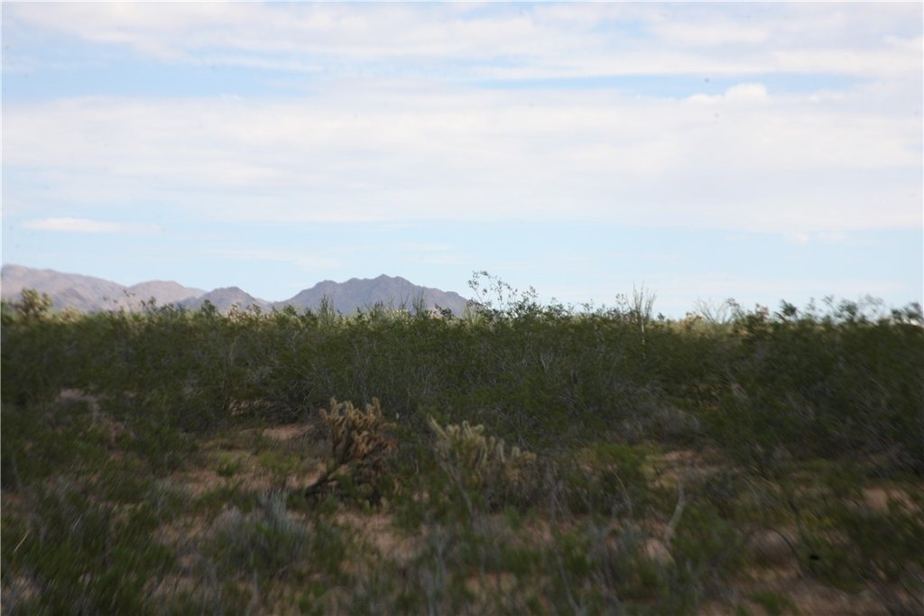 Picture 61