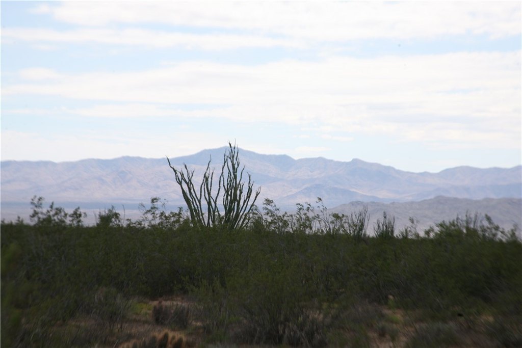 Picture 38