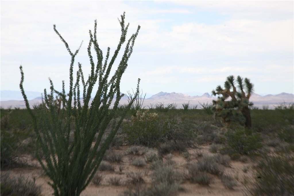 Picture 45