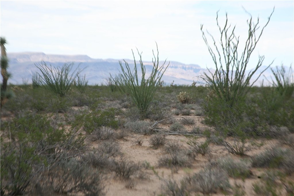 Picture 49