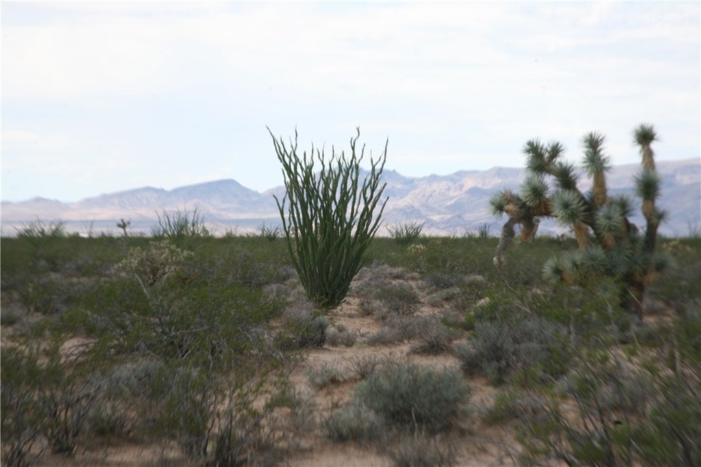 Picture 47