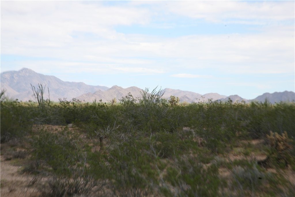 Picture 60