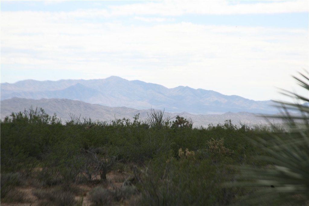 Picture 41