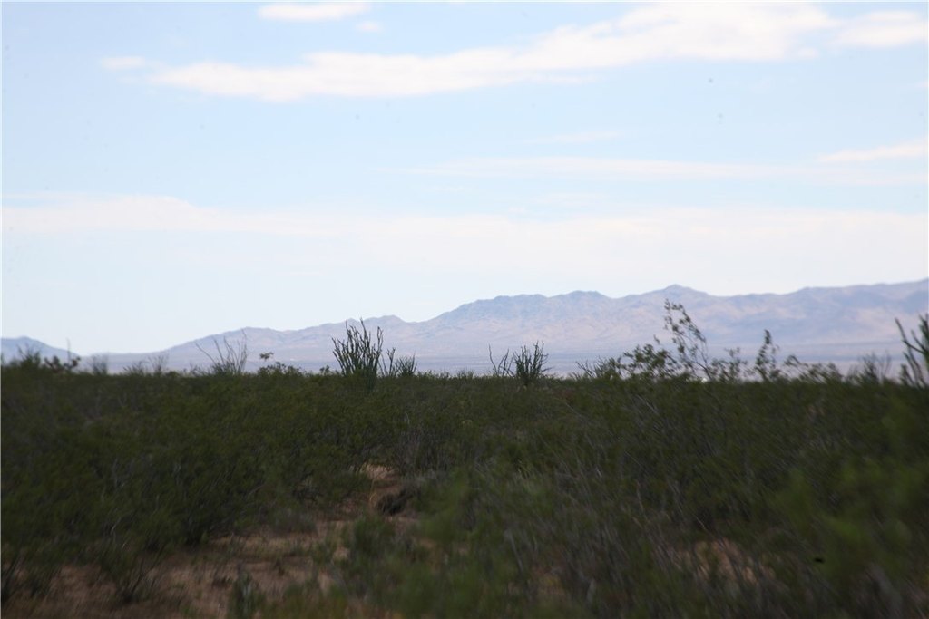Picture 36