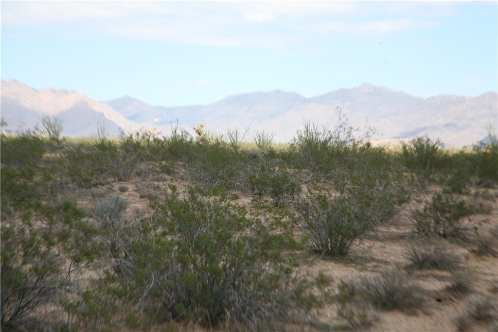 Picture 54