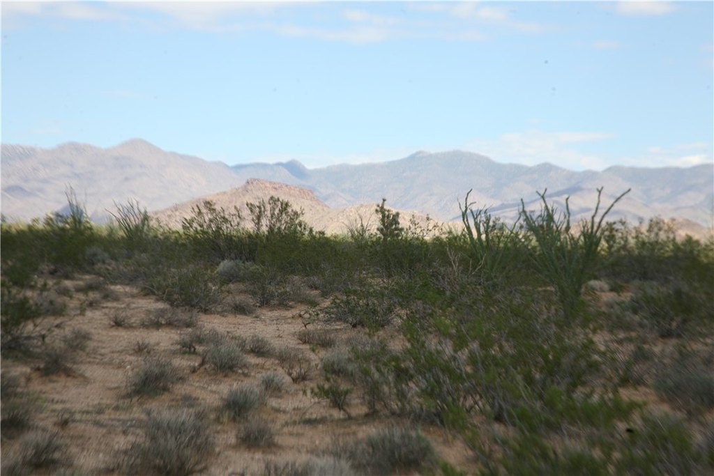 Picture 56