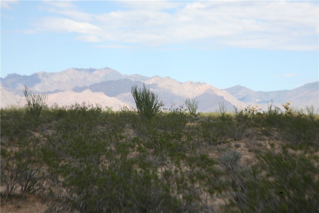 Picture 53