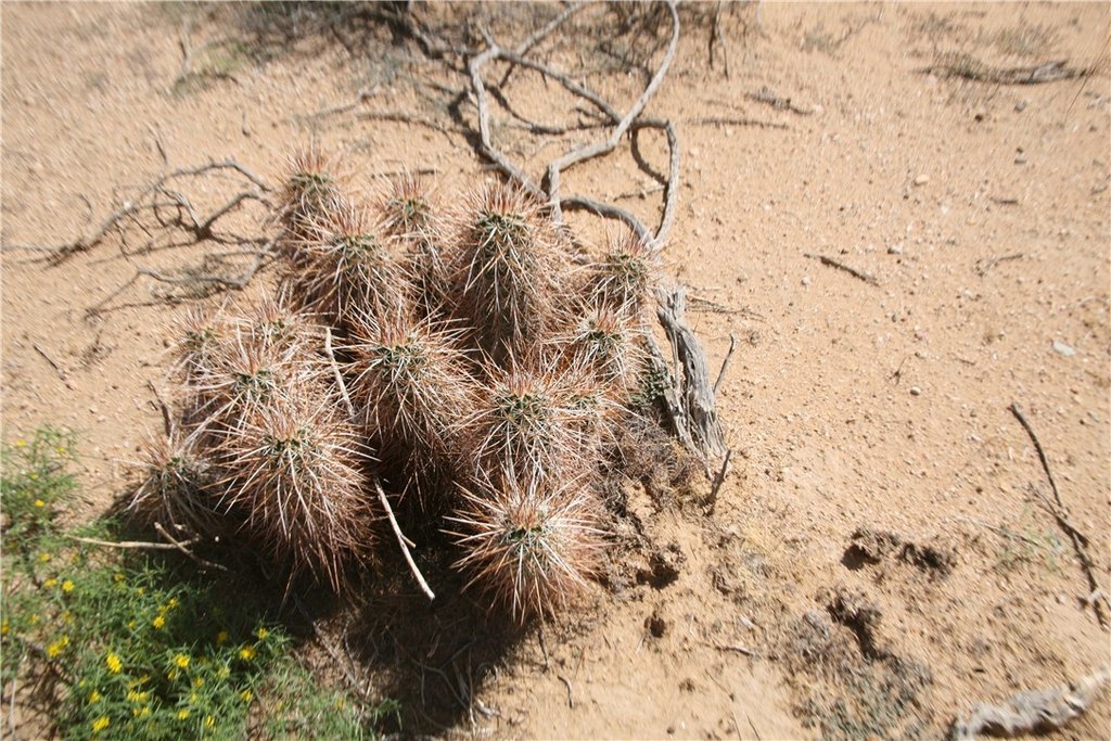 Picture 3