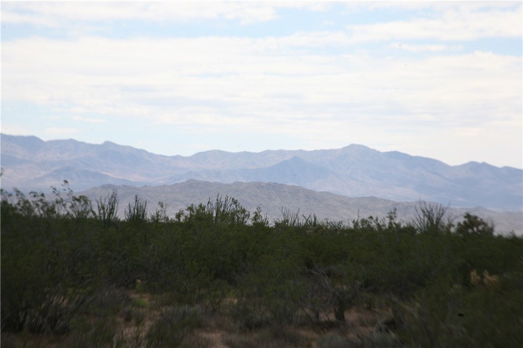 Picture 39