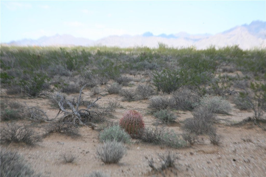 Picture 51