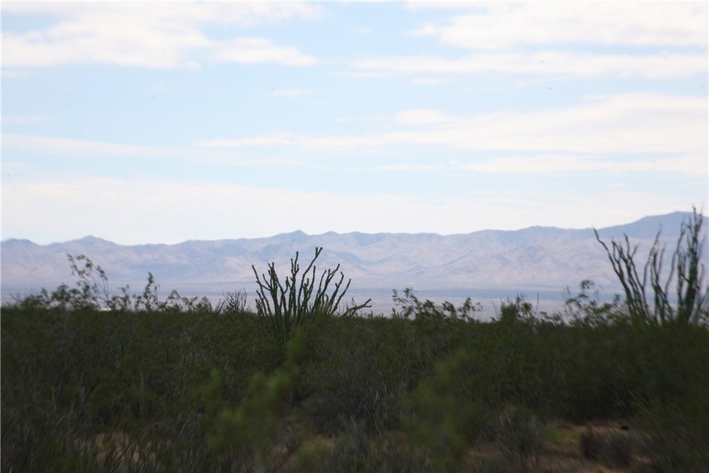 Picture 37