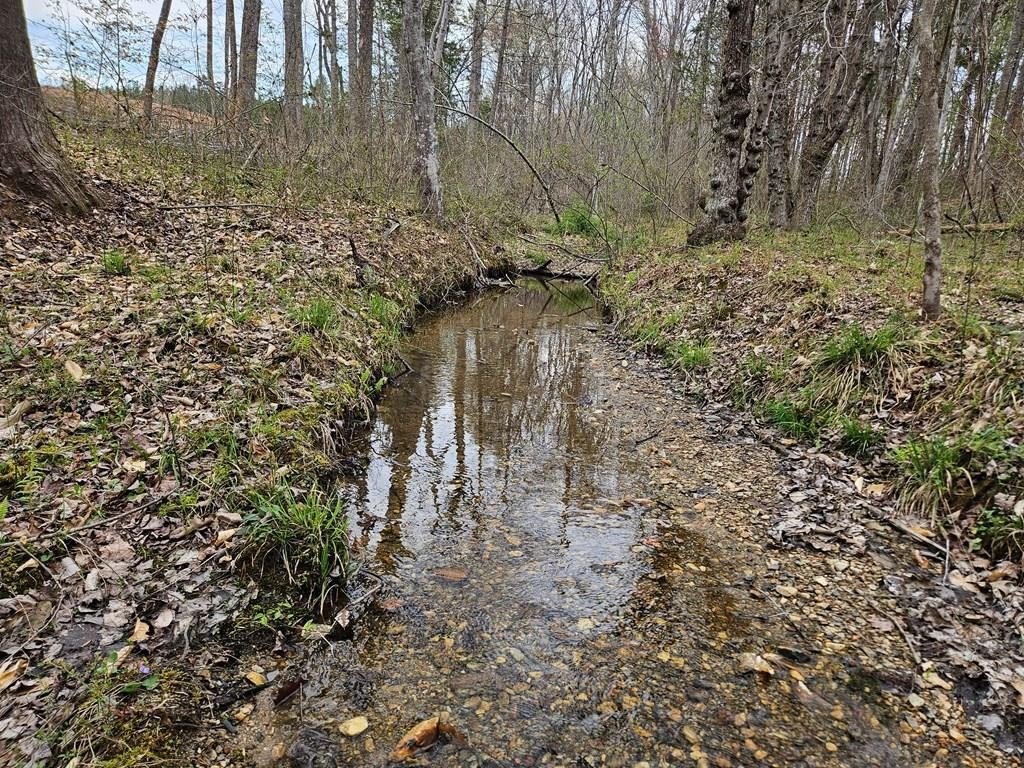 Buckingham Recreational Land For Sale