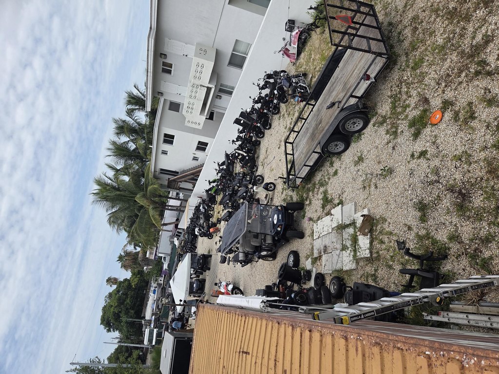 Picture 5