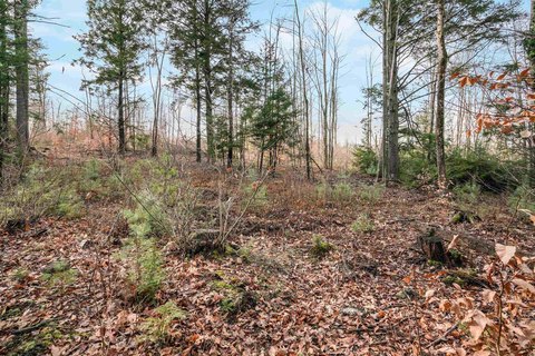 Vacant Residential Land Parcel