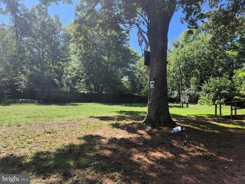 Spacious Lot in Prime Location