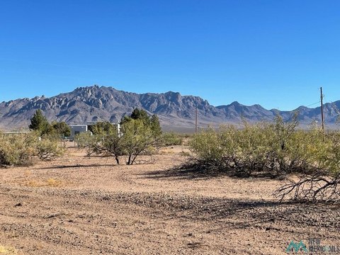 Land, Deming, NM