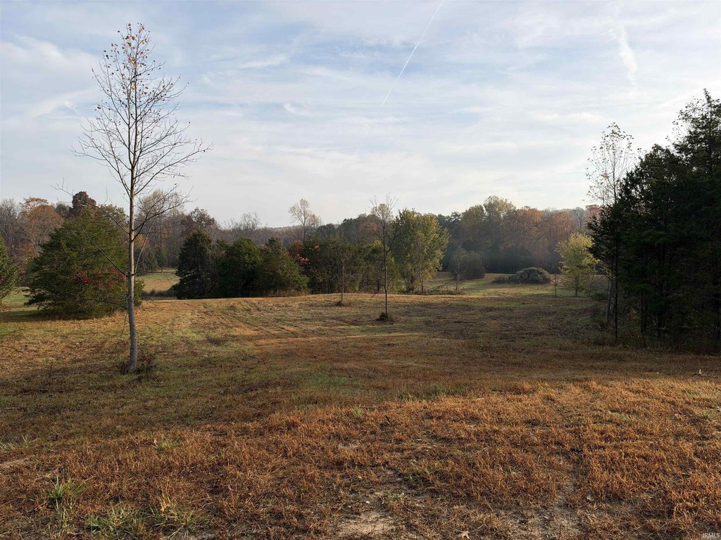 Picture 22