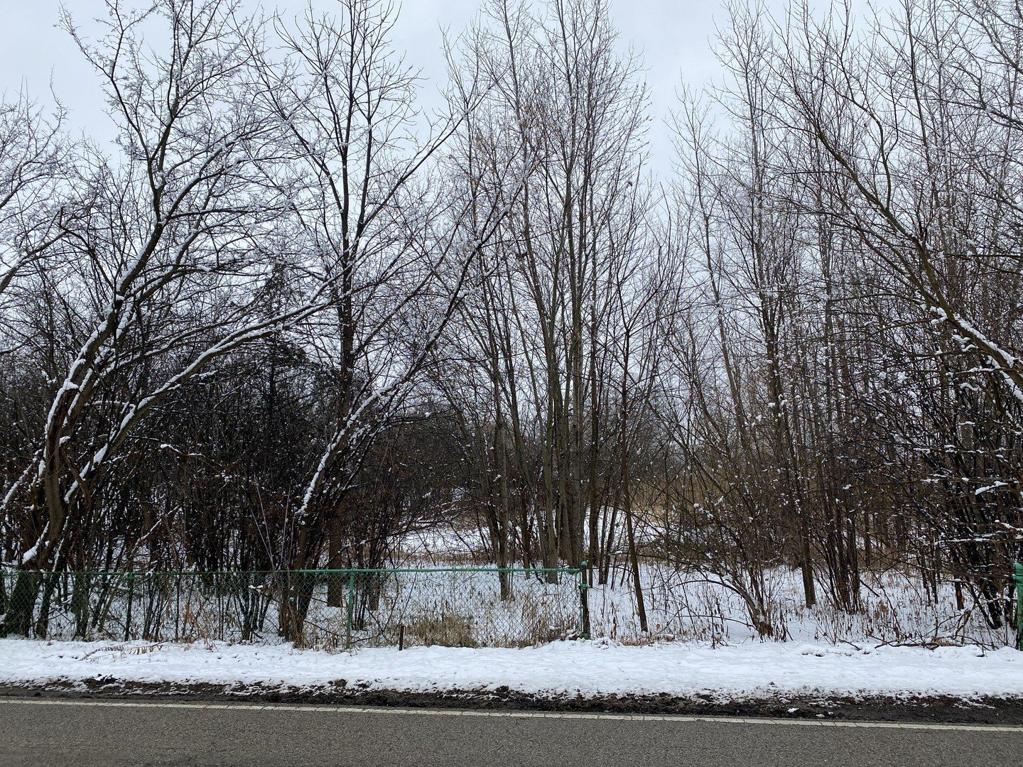 Residential Land in Lakemoor, IL