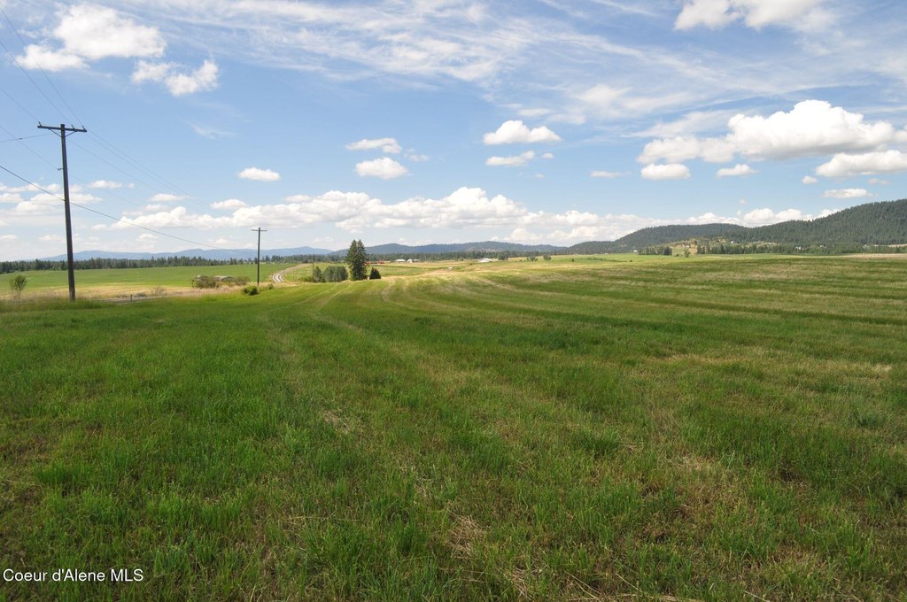 Picture 37