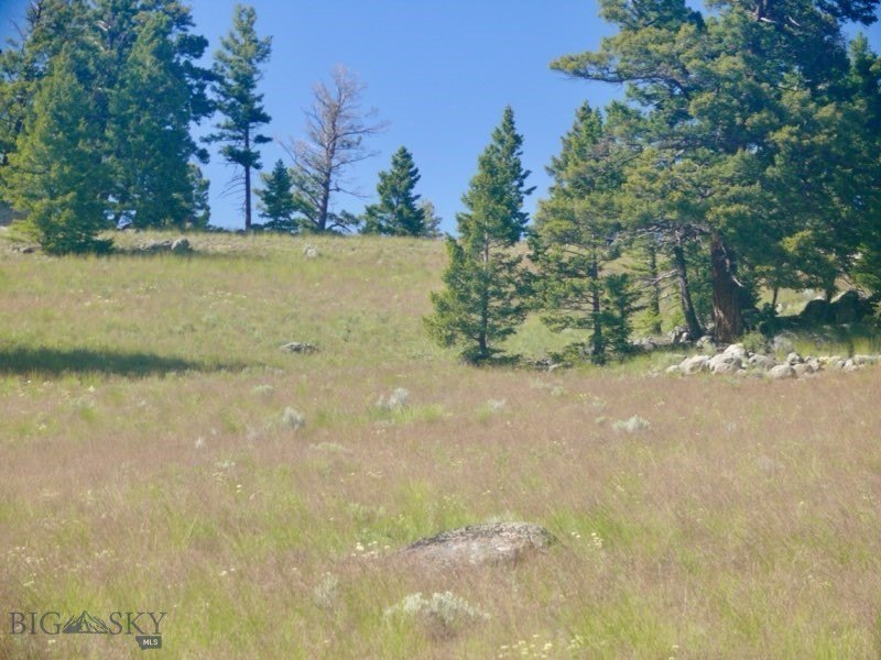 Picture 52