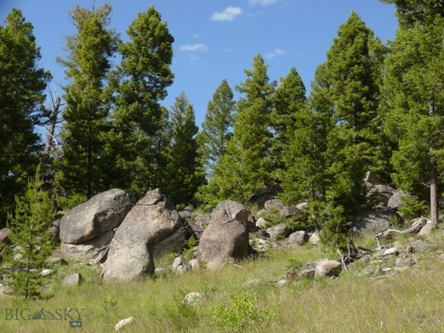 Picture 50