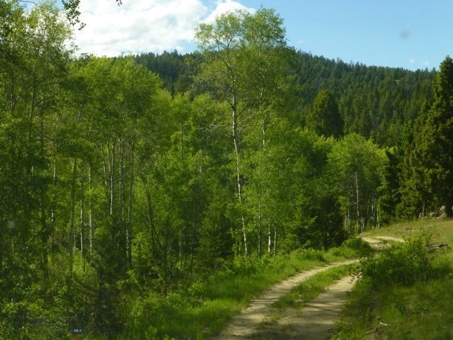 Picture 59