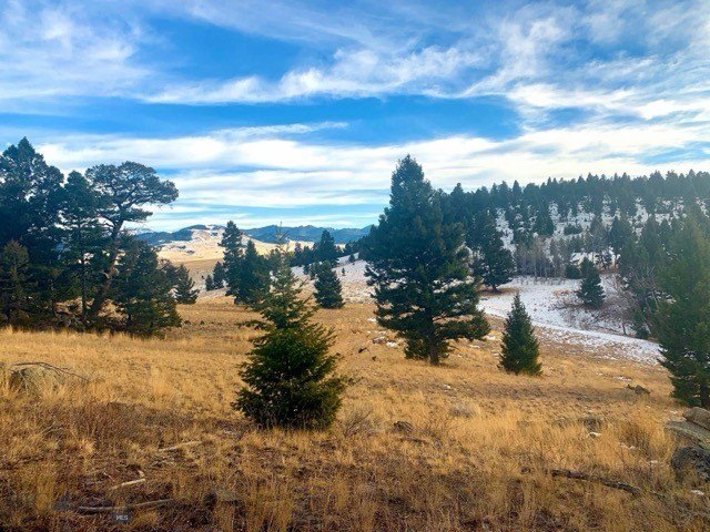 Picture 32