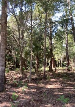 Palmetto Bluff Homesite Opportunity